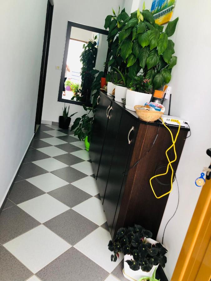 Guesthouse Jasmine Ksamil Kültér fotó