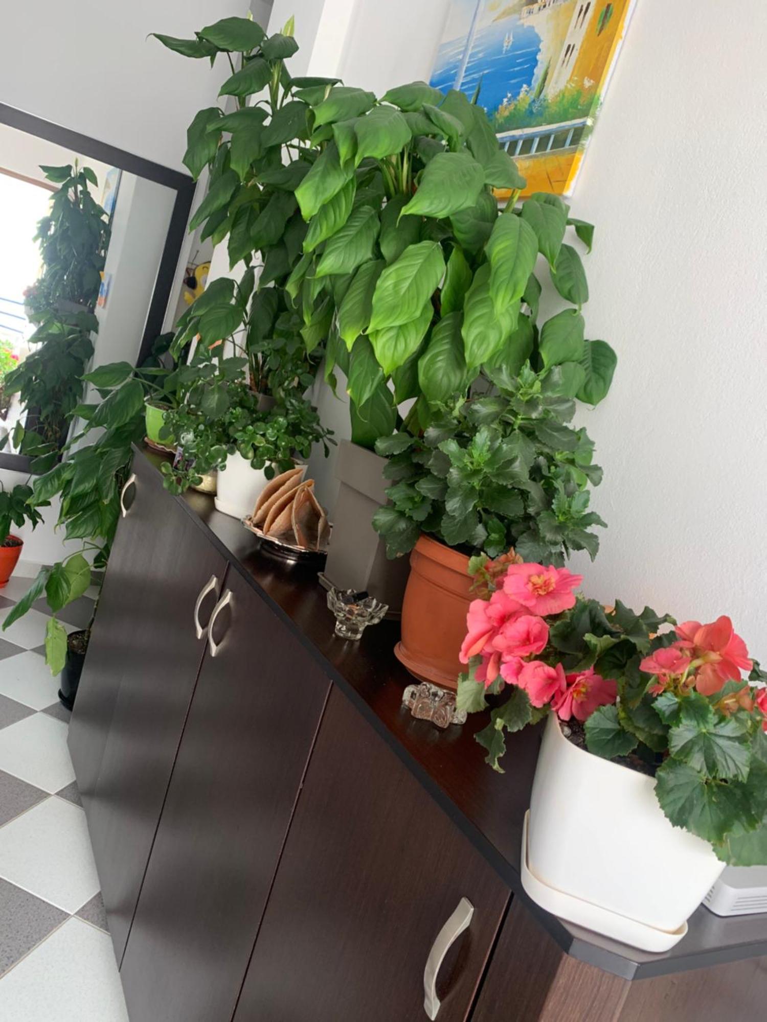 Guesthouse Jasmine Ksamil Kültér fotó